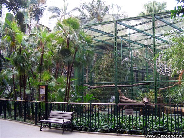 Зоологический сад Гонконга